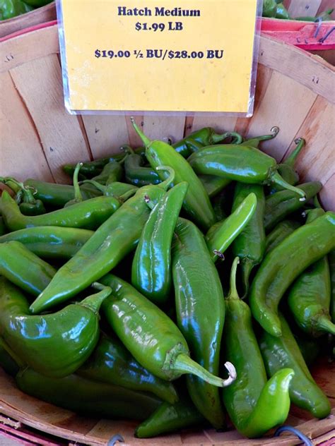Hatch Green Chile Recipes - Cooking On The Ranch