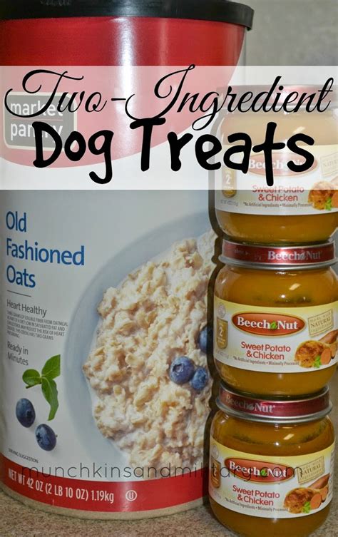 Two-Ingredient Homemade Dog Treats Recipe - Three …
