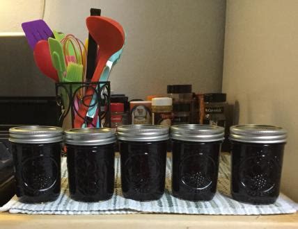 SURE.JELL Blueberry Jam - My Food and Family