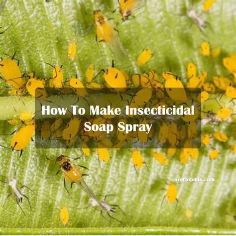 3 Easy Ways to Make Homemade Insecticidal Soap …