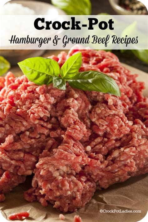 70+ Crock-Pot Hamburger/Ground Beef Recipes