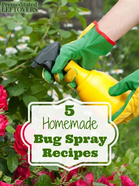 5 Homemade Bug Spray Recipes - Premeditated …