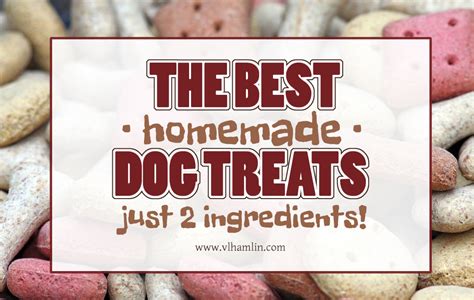 The Best Homemade Dog Treats: Just 2 Ingredients!