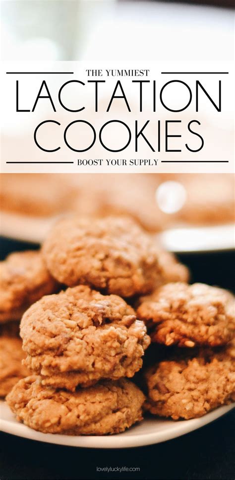 Lactation Cookies - Lovely Lucky Life