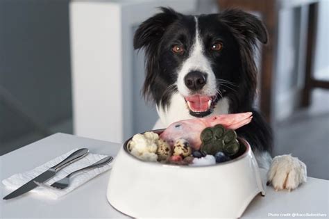 Complete and Balanced Homemade Raw Dog Food …