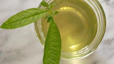 Lemon Verbena Simple Syrup - Hawai'i Agricultural …