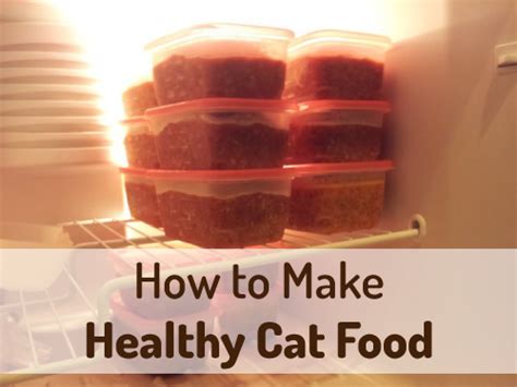 How to Make Homemade Cat Food | Pure Living for Life