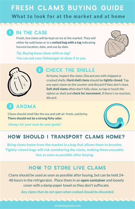 Fresh Clams Guide: How to Buy, Clean, and Cook Clams
