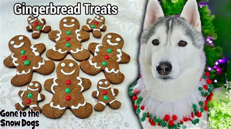 Gingerbread Cookies For Dogs | DIY Dog Treats 128 🎄 Christmas …