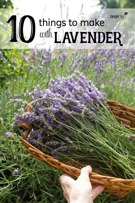 10 Things to Make With Lavender - The Nerdy Farm Wife