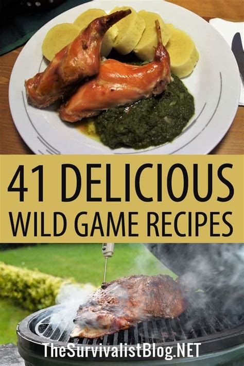 41 Delicious Wild Game Recipes | The Survivalist Blog