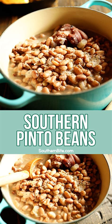Southern Pinto Beans - Southern Bite
