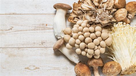 14 Edible Mushroom Varieties and How to Cook With …