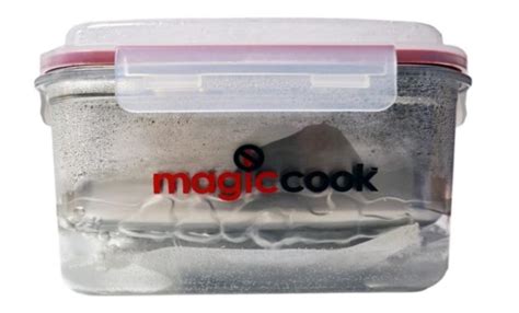 Magic Cook: What Happened To Portable Cooker After …