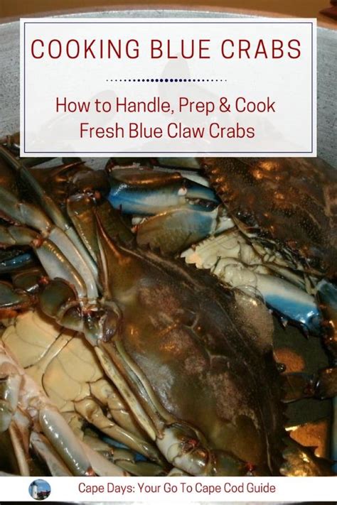 Cooking Blue Crab: The Easy Way to Cook Fresh Blue …
