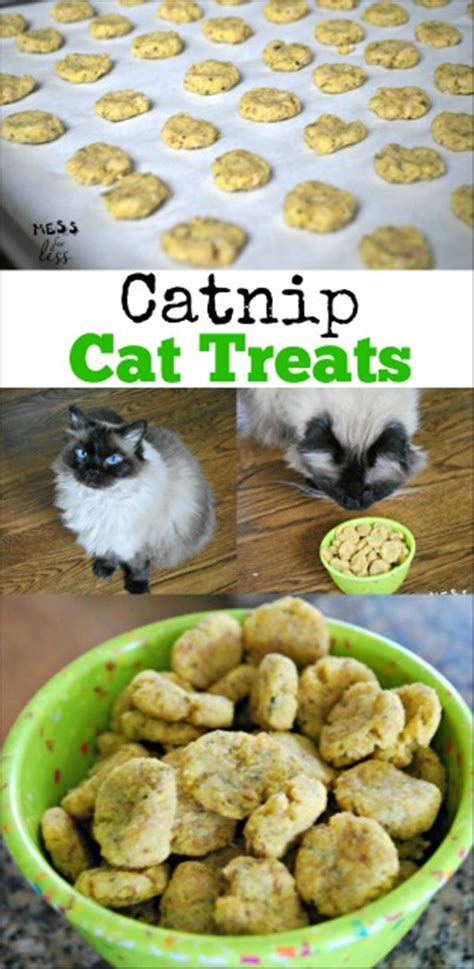 Catnip Cat Treats Recipe - Mess for Less
