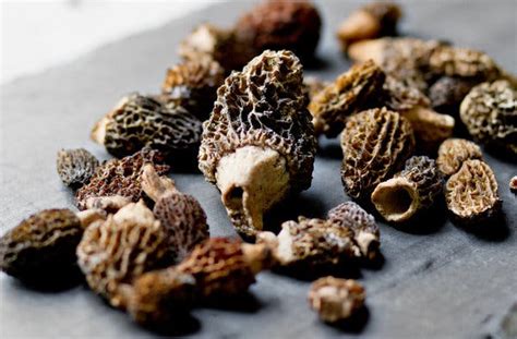 Morels and Peas Are Pasta’s Springtime ... - The New York …