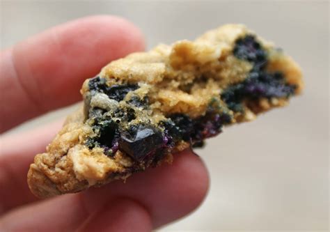 Chewy Blueberry Oatmeal Cookies - Dinner With Julie
