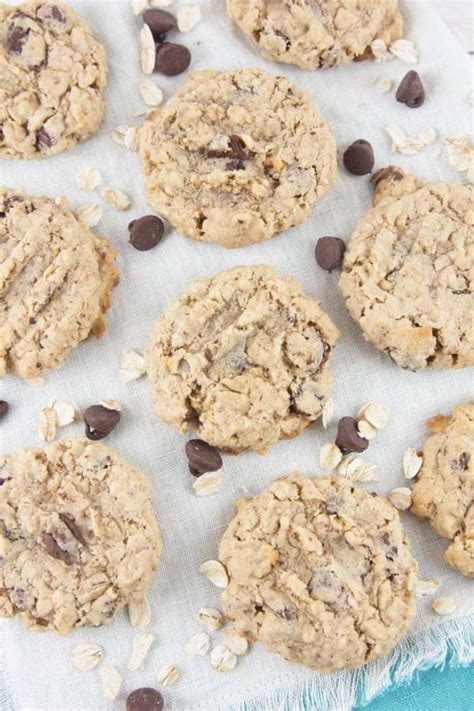 Lactation Cookies (Oatmeal Chocolate Chip) - Bunsen …