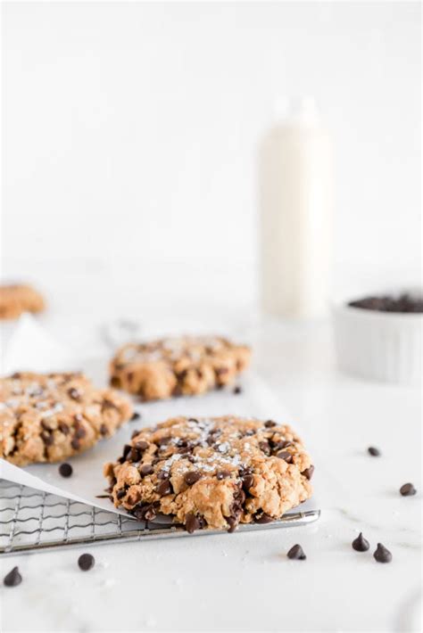Gluten Free Protein Chocolate Chip Cookies - Basics with …