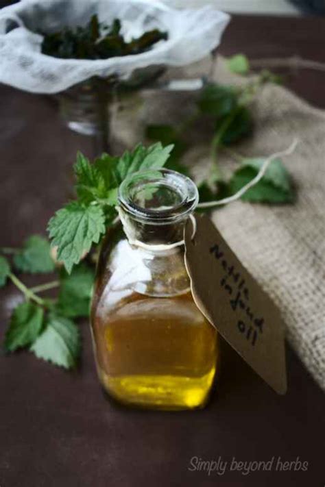 Stinging Nettle oil for glowing skin and hair