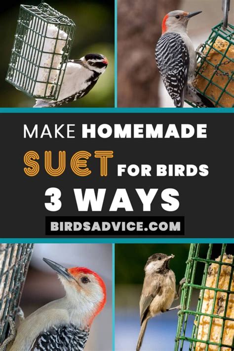 How To Make Homemade Suet For Birds? 3 Easiest Ways