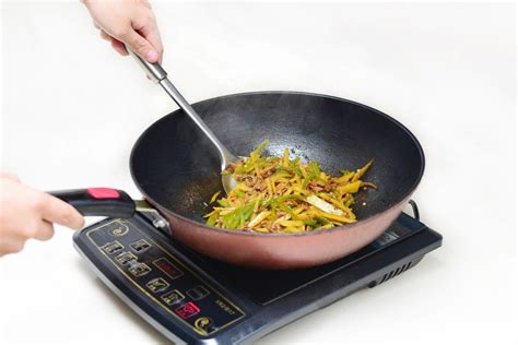 12 Picks for the Best Portable Induction Cooktop to Get …