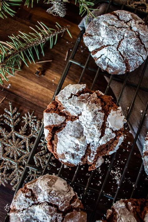 Chewy Chocolate Crinkle Cookies • Longbourn Farm